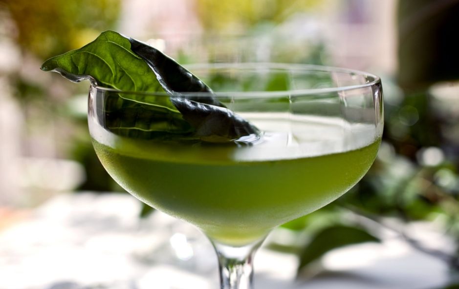 Базилік: корисні властивості, протипоказання, користь і шкода для чоловіків і жінок, лікувальні властивості сушеного базиліка Базилік: корисні властивості, протипоказання, користь і шкода для чоловіків і жінок, лікувальні властивості сушеного базиліка