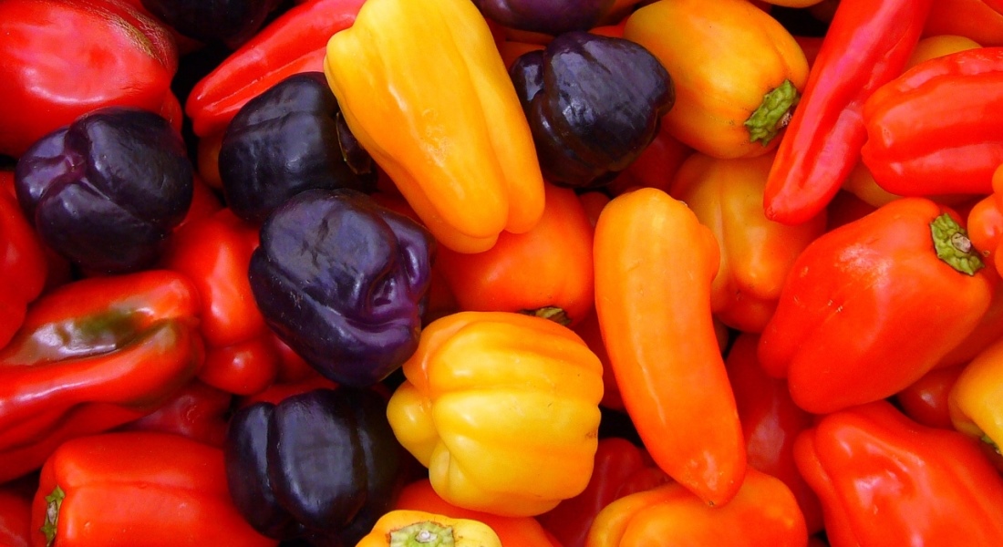 Болгарський перець користь і шкода для здоров’я солодкого овоча