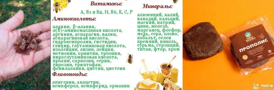 Настоянка прополісу застосування лікувальні властивості та рецепти протипоказання