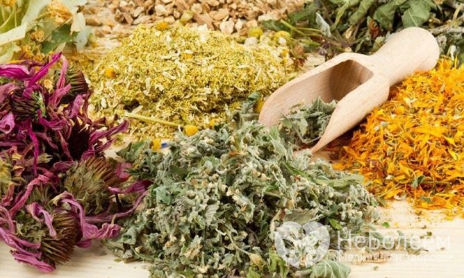 Інгаляції при ларингіті небулайзером – які препарати потрібні?