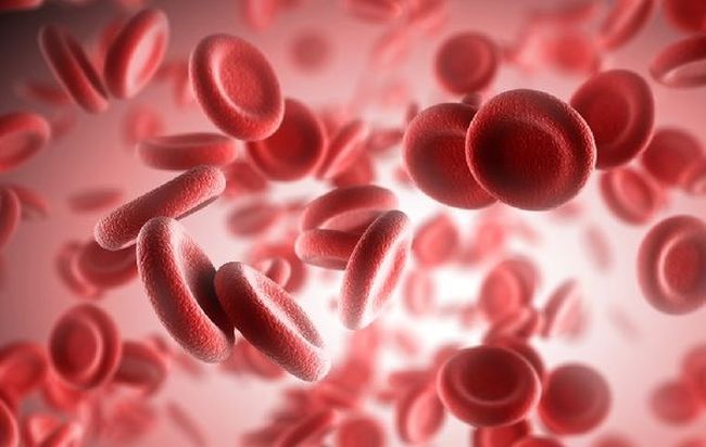 Підвищений вміст еритроцитів у крові причини діагностика лікування