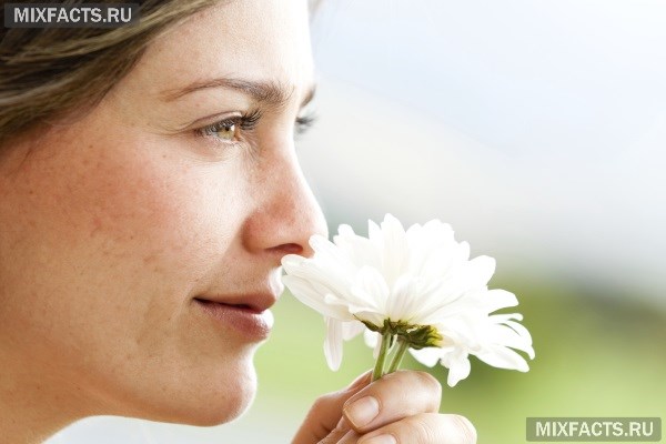 Після гаймориту пропало нюх що робити Після гаймориту пропало нюх що робити