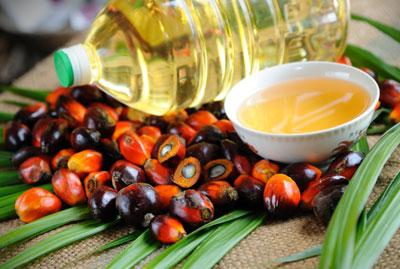 Пальмова олія – користь і шкода для здоров’я людини