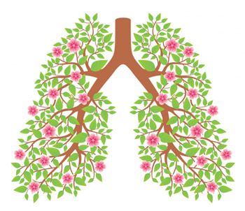 Пневмосклероз легень – що це таке? Вогнищевий, дифузний пневмосклероз – лікування, тривалість життя