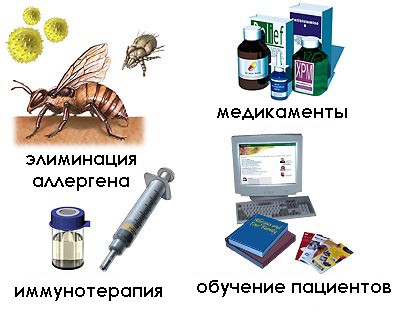 Поліноз – що робити? Особливості лікування, поради
