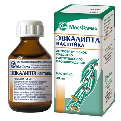 Полоскання горла евкаліптом при ангіні. Настоянка евкаліпта для полоскання горла інструкція. Використання евкаліпта при хворобах горла