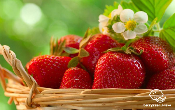 Полуниця користь і шкода для здоров’я улюбленої ягоди