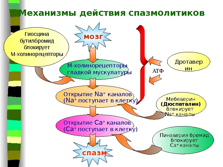 Причини і характерні ознаки спазмів у грудній клітці посередині