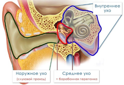 Причини симптоми і лікування отиту у дитини в домашніх умовах