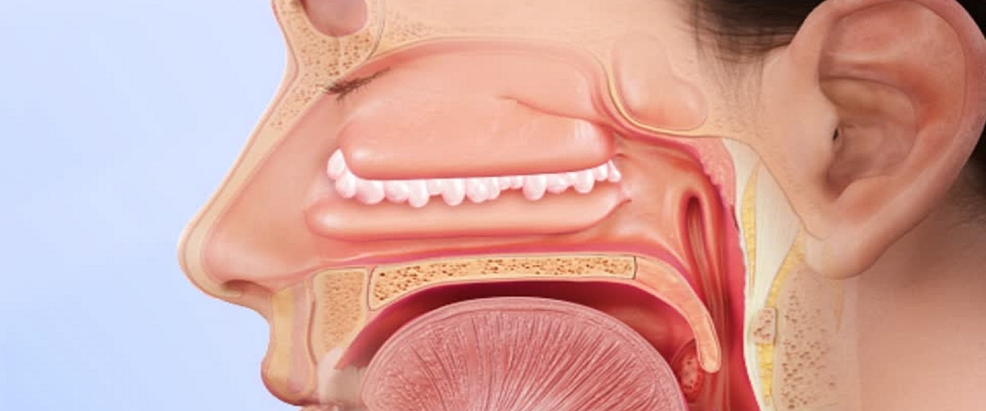 Причини виникнення та способи лікування поліпів у носі