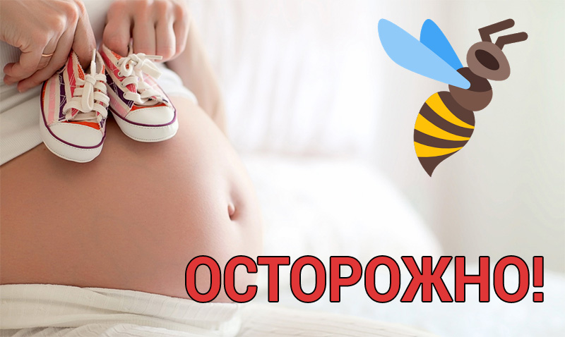 Продукти бджільництва та їх використання людиною апітерапія показання до застосування