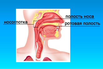 Промивання і прогрівання носа сіллю