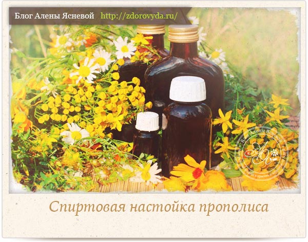 Прополіс для схуднення як приймати