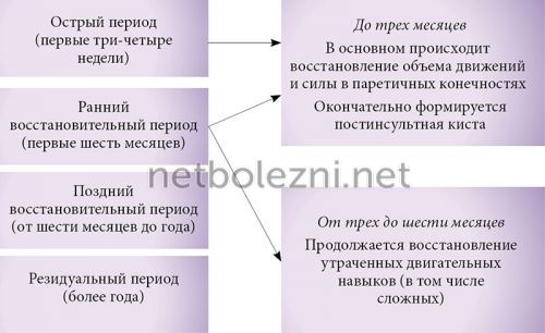 Реабілітація відновлення після ішемічного інсульту в домашніх умовах