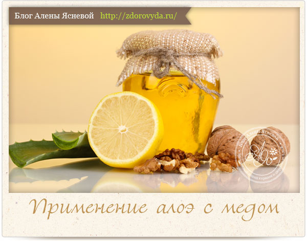 Рецепт алое з медом при виразці шлунка і гастриті