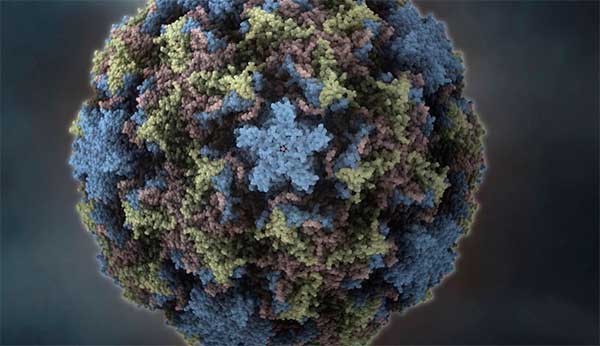 Ринофарингіт, симптоми і лікування у дорослих