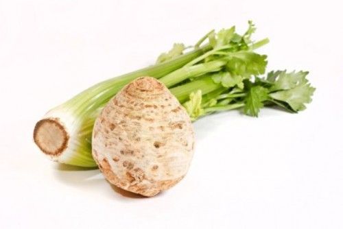 Селера: протипоказання і корисні властивості кореня, стебла і соку
