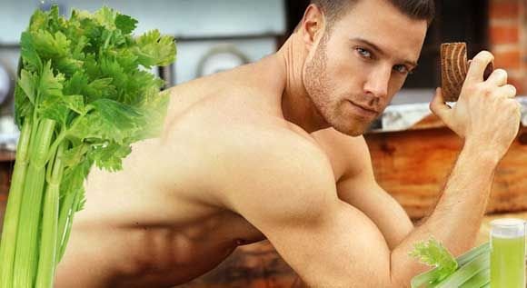 Селера: протипоказання і корисні властивості кореня, стебла і соку