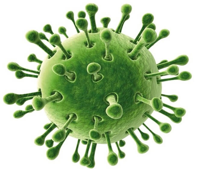Схема лікування ротавірусної інфекції у дорослих. Ефективне ліки від ротавірусу і правильне харчування при захворюванні. Правильне харчування при ротавирусе, або як уникнути зневоднення