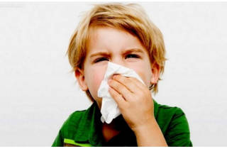 Симптоми та лікування синуситу у дітей як вилікувати дитину в домашніх умовах Симптоми та лікування синуситу у дітей як вилікувати дитину в домашніх умовах