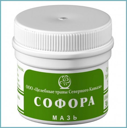 Софора японська – шкода і користь