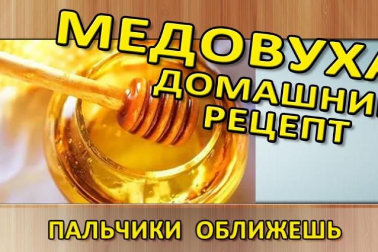 Сосновий мед: корисні властивості меду, рецепт меду з соснових шишок