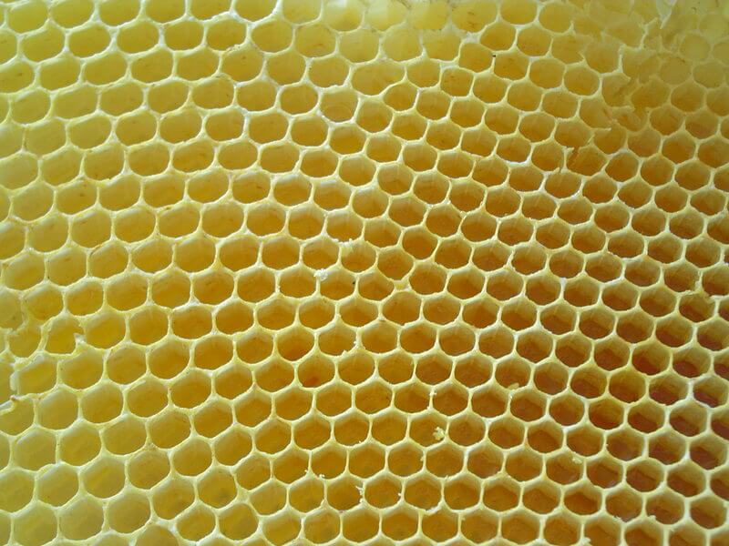 Стільниковий мед мед із стільників корисні властивості і користь меду із стільників