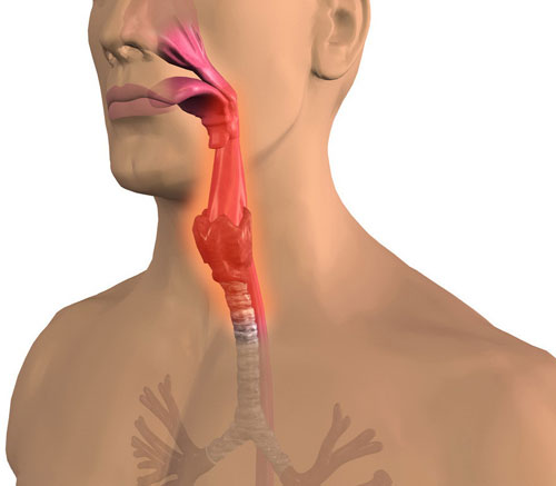 Стоматит і ангіна причини одночасного розвитку симптоми і лікування Стоматит і ангіна причини одночасного розвитку симптоми і лікування