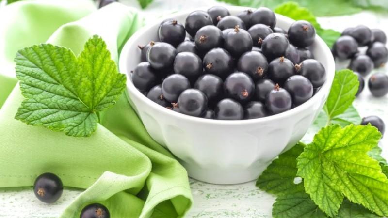 Стрептокок лікування народними засобами