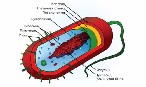 Сульфадиметоксин: інструкція по застосуванню для дорослих і дітей, аналоги