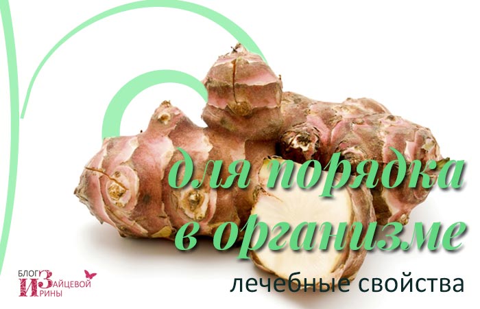 Топінамбур лікувальні властивості і протипоказання фото, рецепти