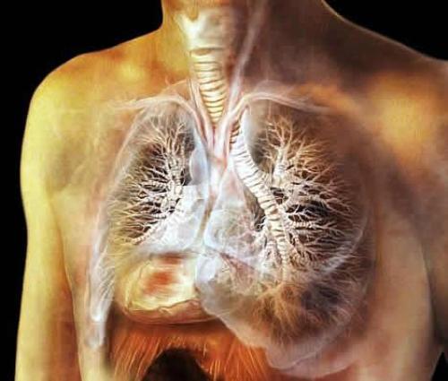 Туберкульоз легень: причини, симптоми і методи діагностики туберкульозу