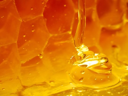 Унікальні особливості та корисні властивості меду з плюща
