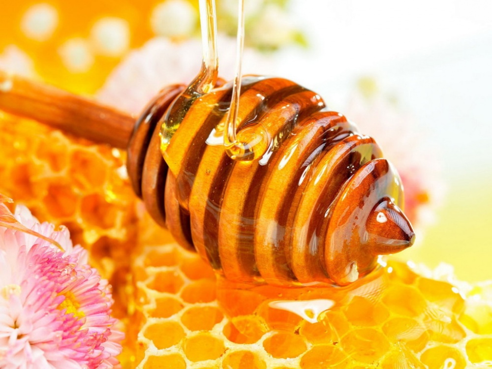 Унікальні властивості меду і його застосування в народній медицині. Як він виглядає, який на смак, як пахне? Що містить мед