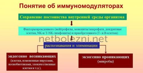 Види риносинуситу симптоми і лікування у дорослих