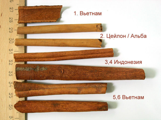 Використання меду проти раку