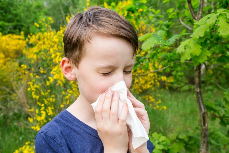 Як і чим лікувати алергічний риніт у дітей