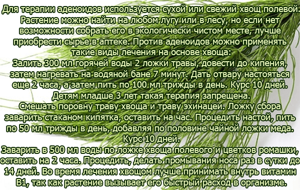 Як лікувати аденоїди у дитини в домашніх умовах народними засобами без операції