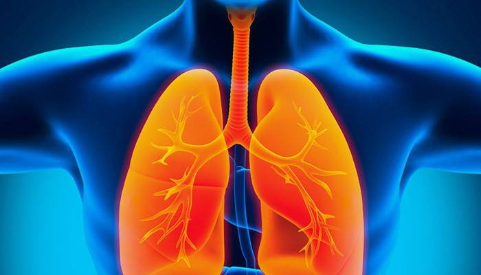 Як лікувати запалення легенів у домашніх умовах