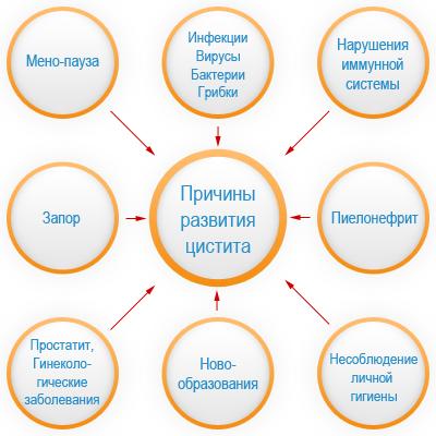 Як лікувати запалення сечостатевої системи у чоловіків. Захворювання чоловічої сечостатевої системи