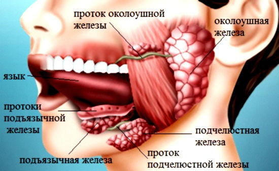 Як лікують сиалоаденит привушної слинної залози