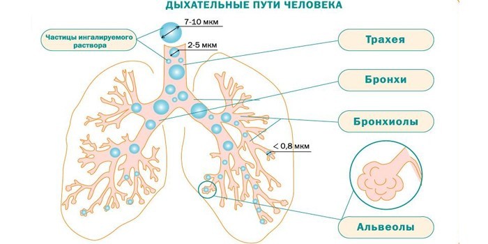 Які інгаляції робити при кашлю у дітей