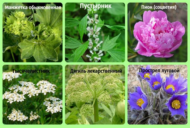 Як підвищити прогестерон у жінок природним шляхом, народними засобами