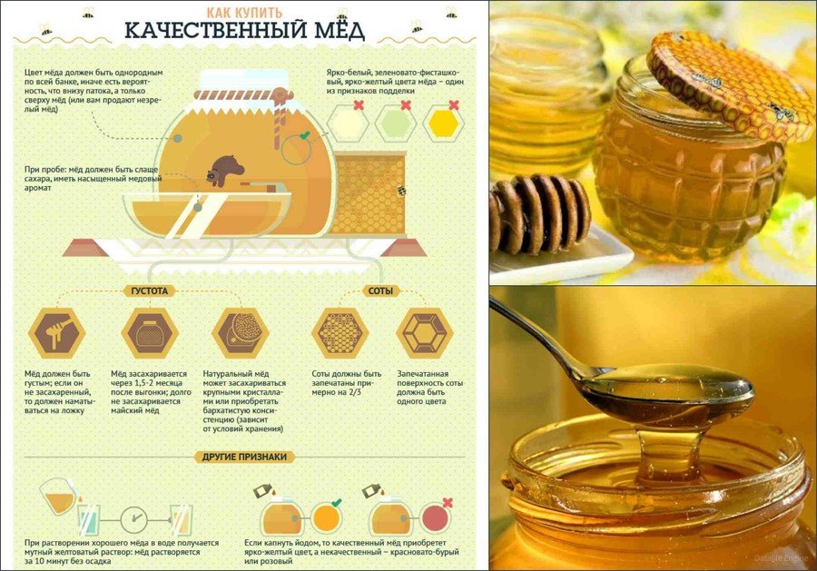Як правильно зберігати мед у домашніх умовах: строк придатності температура