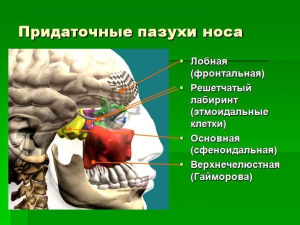 Як приймати Полидекса при риніті