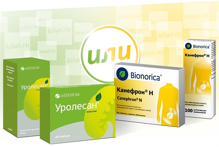 Як проявляється запалення сечового міхура у жінок. Причини запалення сечового міхура у жінок, основи лікування – Жіноче думка