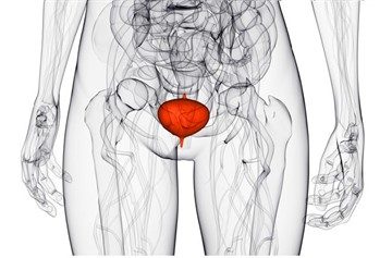 Як проявляється запалення сечового міхура у жінок. Причини запалення сечового міхура у жінок, основи лікування – Жіноче думка