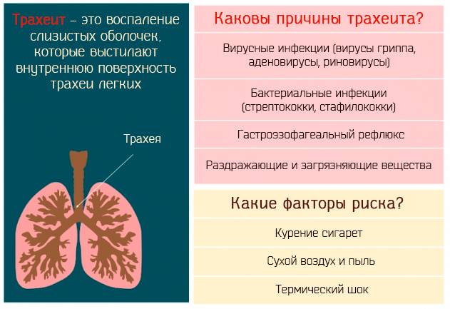 Як розпізнати і вилікувати хронічний трахеїт