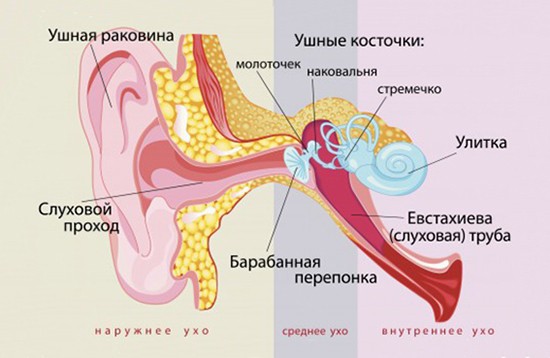 Як розпізнати і вилікувати отит у немовляти