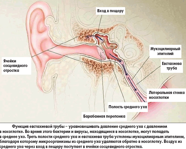 Як розпізнати і вилікувати запалення слухової труби